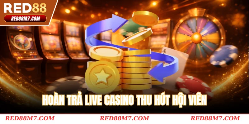 Hoàn trả live casino thu hút hội viên