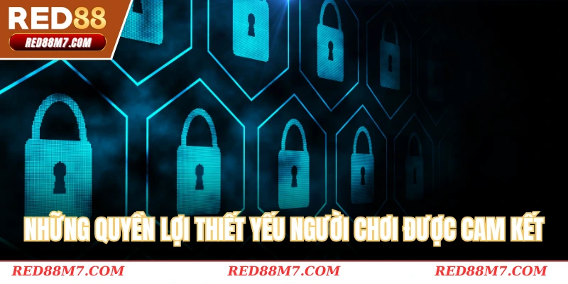 Những quyền lợi thiết yếu người chơi được cam kết