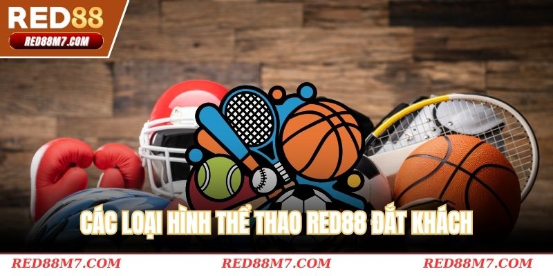 Các loại hình thể thao RED88 đắt khách